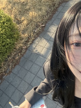 스트리머 로고