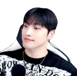 스트리머 로고