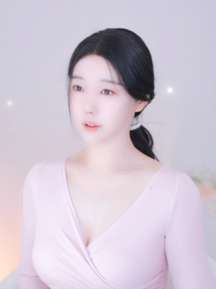 스트리머 로고