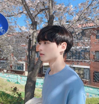스트리머 로고