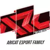 aricatesport