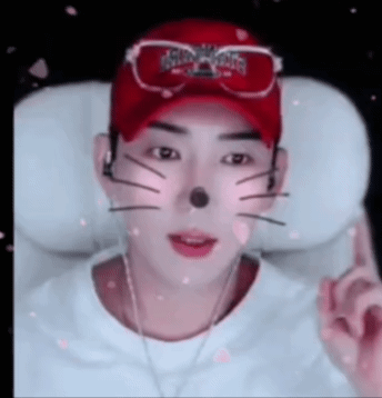 스트리머 로고