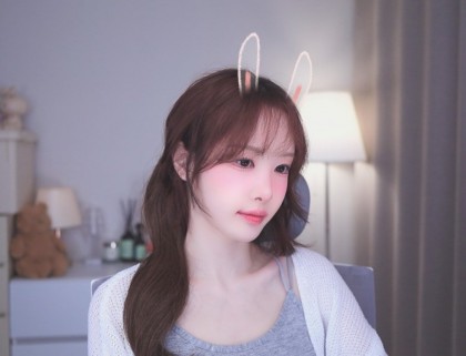 스트리머 로고