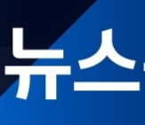 스트리머 로고
