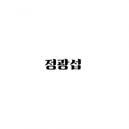 스트리머 로고