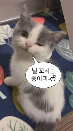 녕녕♥