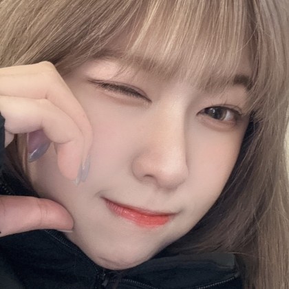 스트리머 로고