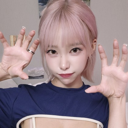 스트리머 로고