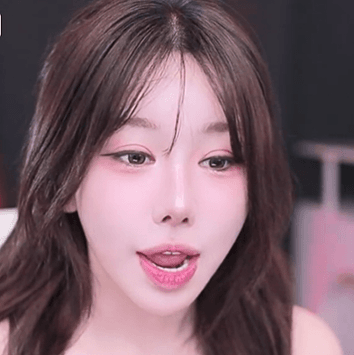 스트리머 로고