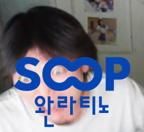 스트리머 로고
