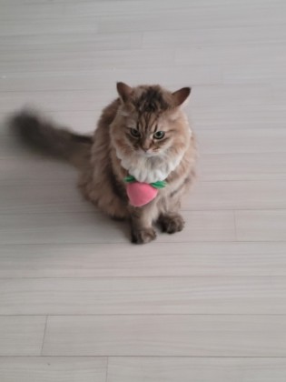 요한0315
