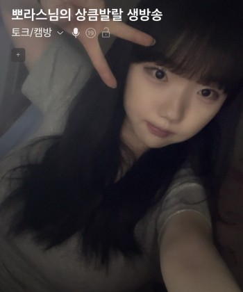 스트리머 로고
