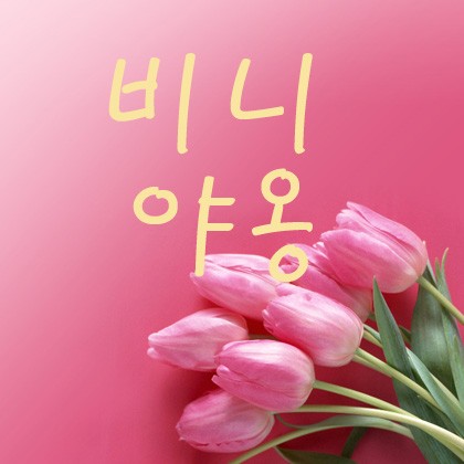 비니야옹