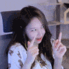 스트리머 로고