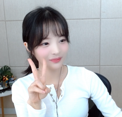 스트리머 로고