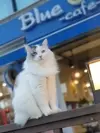프로필