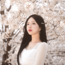 스트리머 로고