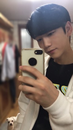 스트리머 로고