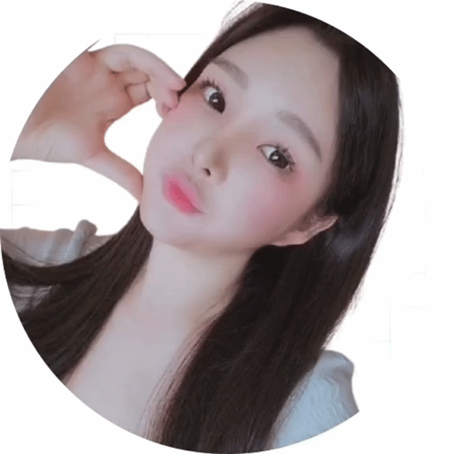 스트리머 로고