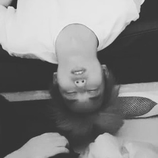 스트리머 로고