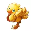 *chocobo