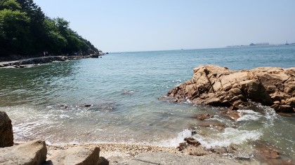 스트리머 로고