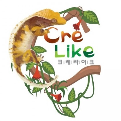 낚시하는꽃냥