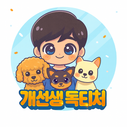 개선생독티처