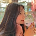 스트리머 로고