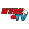 메가게임TV