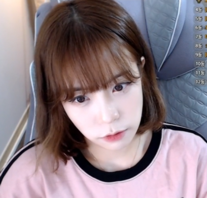 스트리머 로고