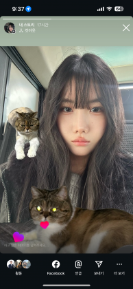냥샹츄