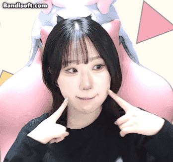 스트리머 로고