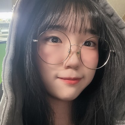 스트리머 로고