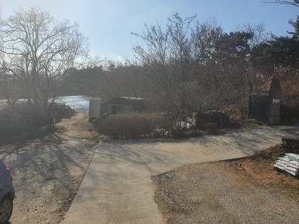 스트리머 로고