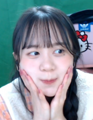 스트리머 로고