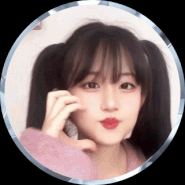 스트리머 로고