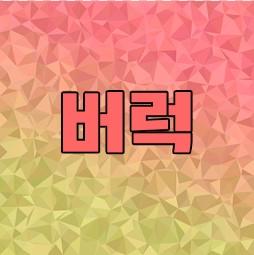 버럭쌤TV