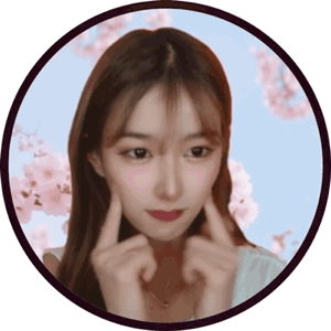 스트리머 로고
