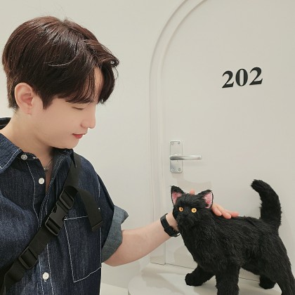 스트리머 로고
