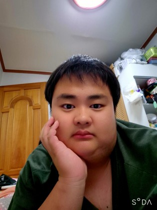 스트리머 로고