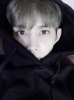 스트리머 로고