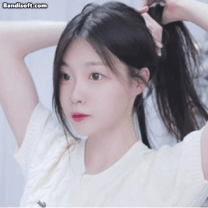 스트리머 로고