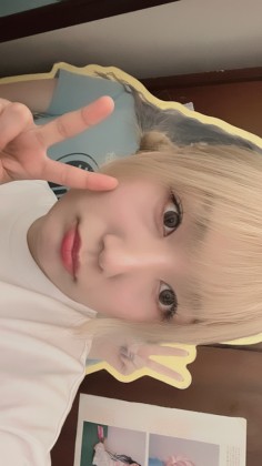스트리머 로고