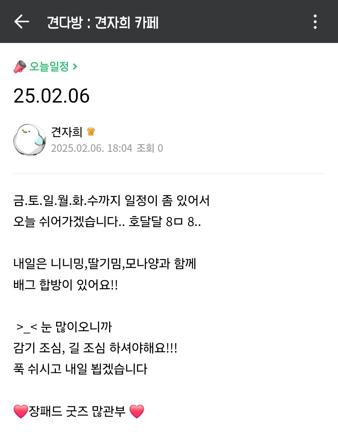 견자희 19 