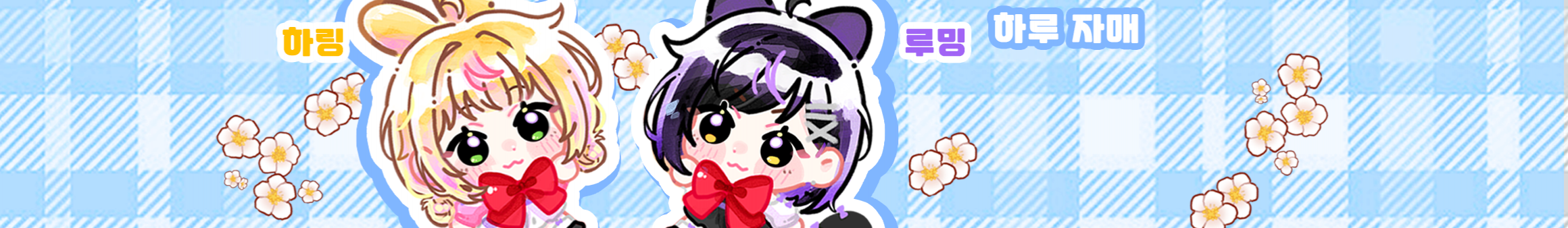 Detail Page Banner Image