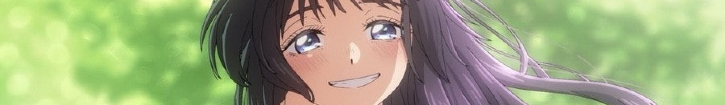 Detail Page Banner Image